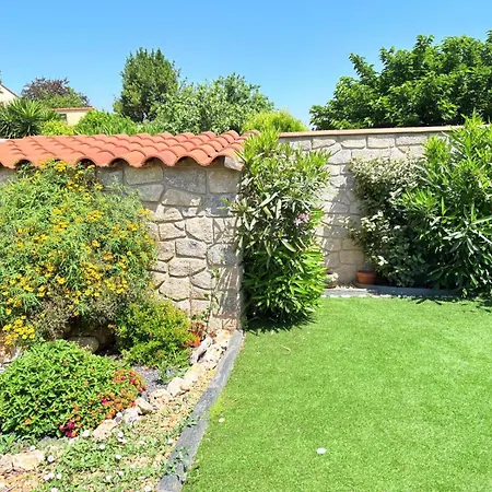 Ecrin Moderne Face A La فيلة